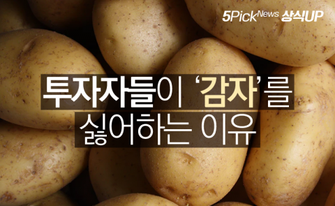 투자자들이 ‘감자’를 싫어하는 이유
