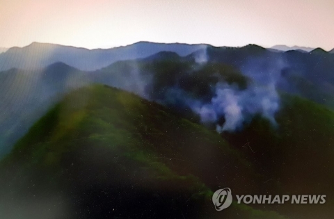 강원 정선 야산서 산불···1시간30분 만에 진화