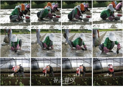농어민 ‘무릅건강’ 국가 정책적 지원 절실··관절 치료비 수천억 달해