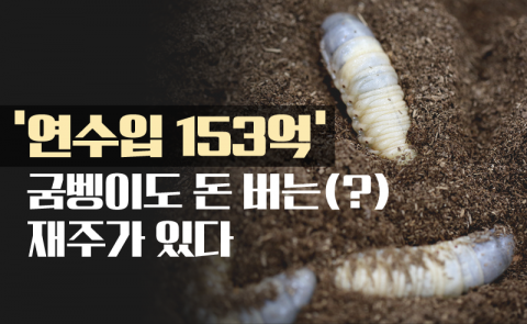 ‘연수입 153억’ 굼벵이도 돈 버는(?) 재주가 있다