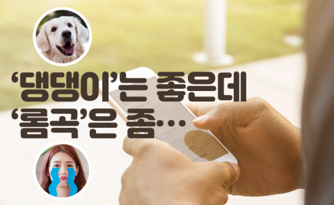‘댕댕이’는 좋은데 ‘롬곡’은 좀···