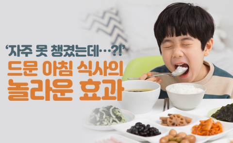 ‘자주 못 챙겼는데···?!’ 드문 아침 식사의 놀라운 효과