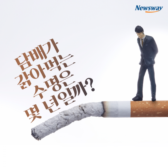 담배가 갉아먹는 수명은 몇 년일까? 기사의 사진