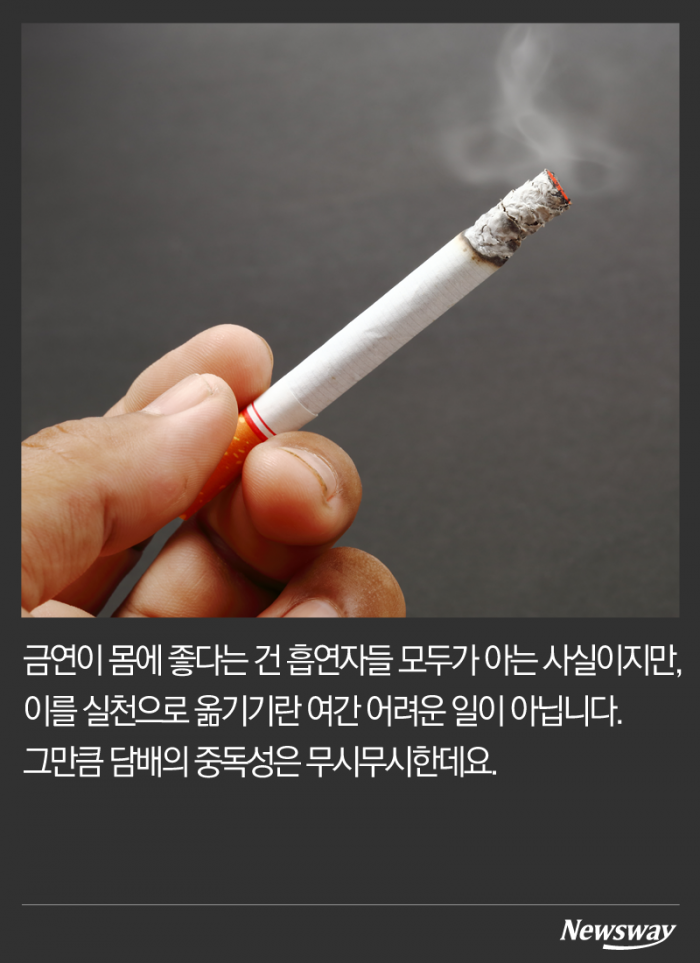 담배가 갉아먹는 수명은 몇 년일까? 기사의 사진