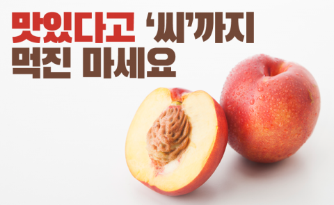 맛있다고 ‘씨’까지 먹진 마세요
