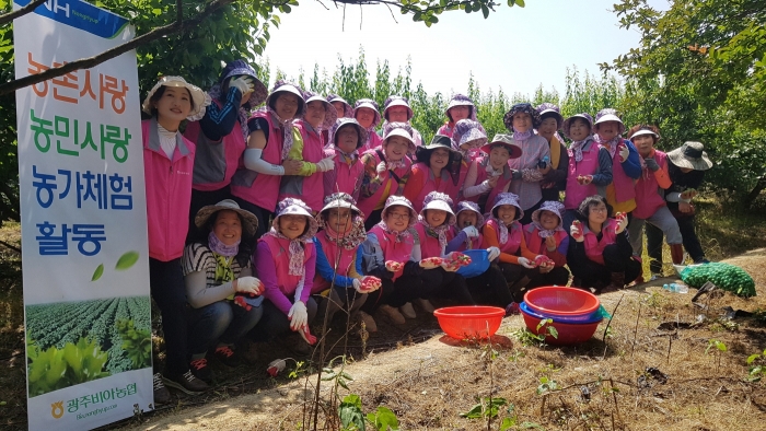 광주비아농협 여성대학졸업생, 농촌일손돕기 모습