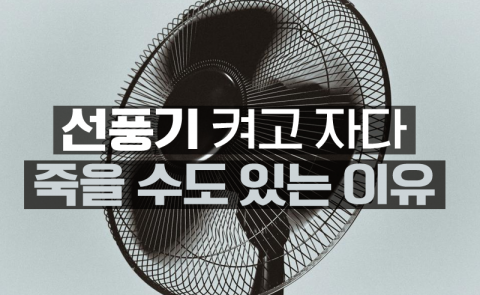 선풍기 켜고 자다 죽을 수도 있는 이유