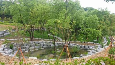 임실군, 감성리 일대 버드나무 생태 도시숲 조성 완료