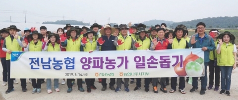 전남농협, 양파수확 일손돕기 현장에서 구슬땀