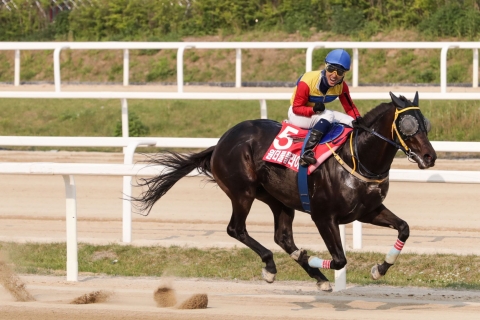 한국마사회, 16일 ‘농림축산식품부장관배’ 펼쳐···총상금 6억원
