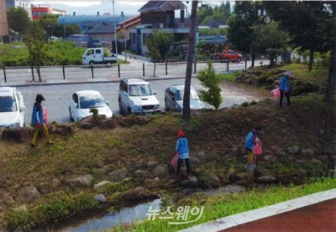 곡성군, 섬진강 일대 하천 정화 추진