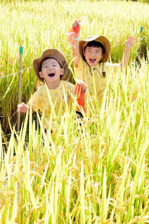 완주군, 농촌관광 활성화 박차