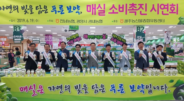 전남농협, 매실 작황 호조···소비촉진 행사 개최