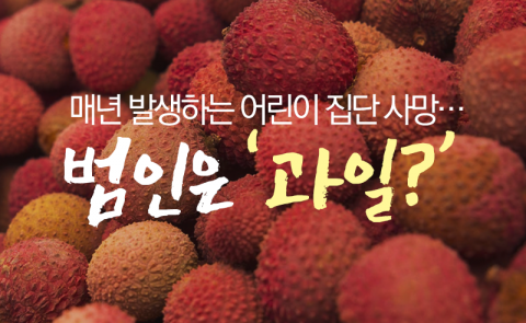 매년 발생하는 어린이 집단 사망···범인은 ‘과일?’