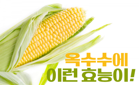 옥수수에 이런 효능이!