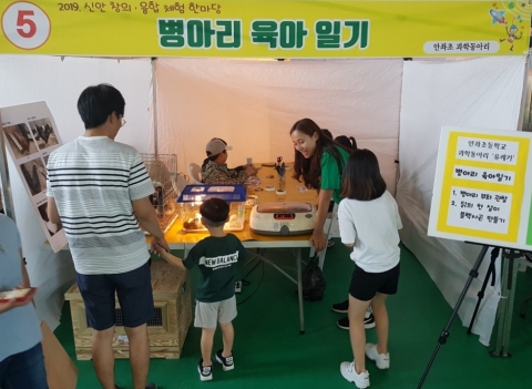 신안교육지원청, 창의·융합 체험 한마당 ‘성료’