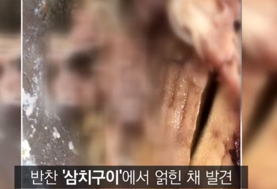 ‘급식에서 고래회충이?’···인천 고교 생선반찬서 발견