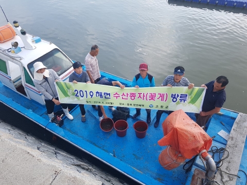 고창군, 구시포‧동호해역 어린꽃게 방류
