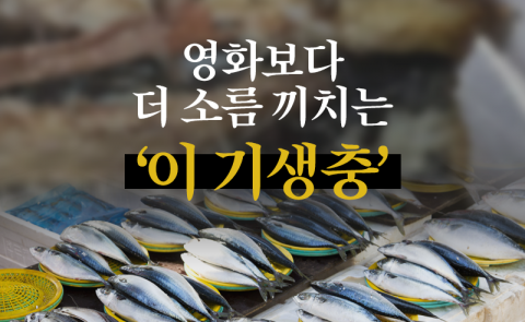 영화보다 더 소름 끼치는 ‘이 기생충’