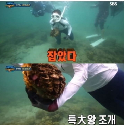 이열음, 멸종위기종 대왕조개 채취···태국 국립공원 “고발 철회 없다”