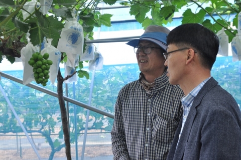 김제시농업기술센터, 시설과수경영체 영농현장 맞춤형 현장기술지원 펼쳐