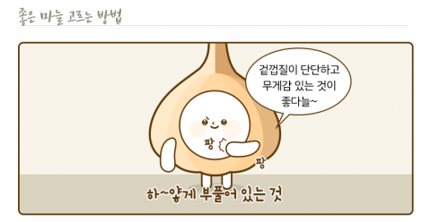 aT, 마늘의 효능·조리법 등 안내로 소비활성화 추진