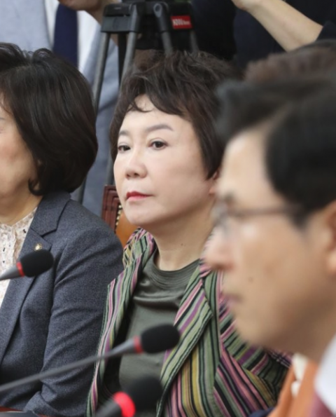 정미경 “세월호 한척 갖고 이긴 文대통령”···막말 논란