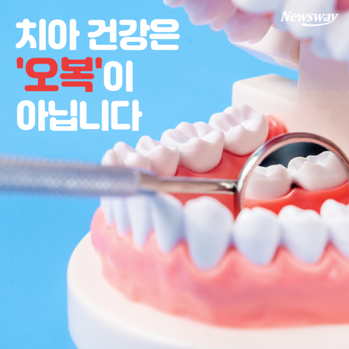 치아 건강은 '오복'이 아닙니다 기사의 사진