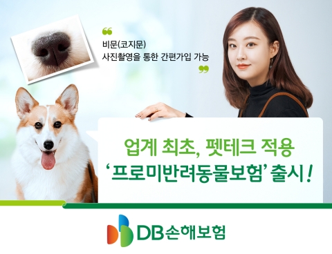 DB손보, 업계 최초 코지문 등록 펫보험 출시