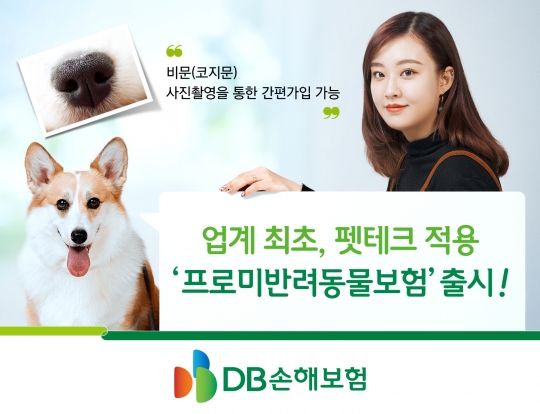 DB손해보험은 반려견의 비문(鼻紋·코 지문) 사진을 등록하는 방식으로 가입하는 ‘프로미 반려동물보험’을 판매한다. 사진=DB손해보험