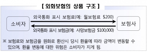 환율 하락하면 보험금 줄어···외화보험 가입 주의