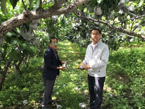 aT 신현곤 식품수출이사, 수출용 신선배 태풍 피해상황 점검