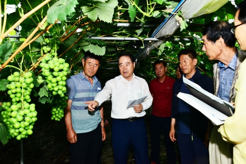 최형식 담양군수, 신규 소득작물 선도농가와 현장 소통나서