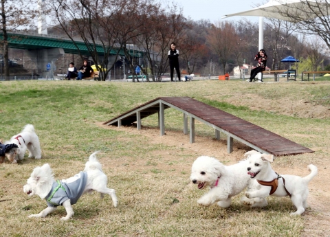 용인시 처인구, 8월말까지 ‘반려견 자진 등록’ 당부