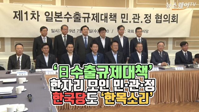 '日 수출규제대책' 한자리 모인 민·관·정···한국당도 '한목소리'