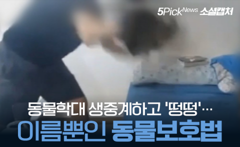 동물학대 생중계하고 ‘떵떵’···이름뿐인 동물보호법