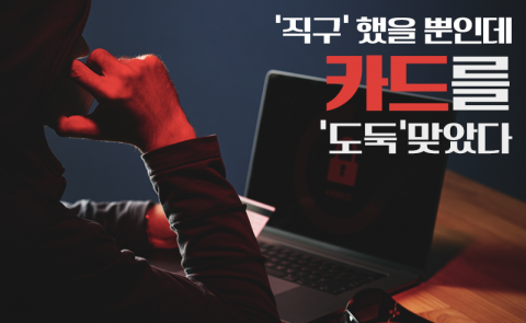 ‘직구’ 했을 뿐인데 카드를 ‘도둑’맞았다