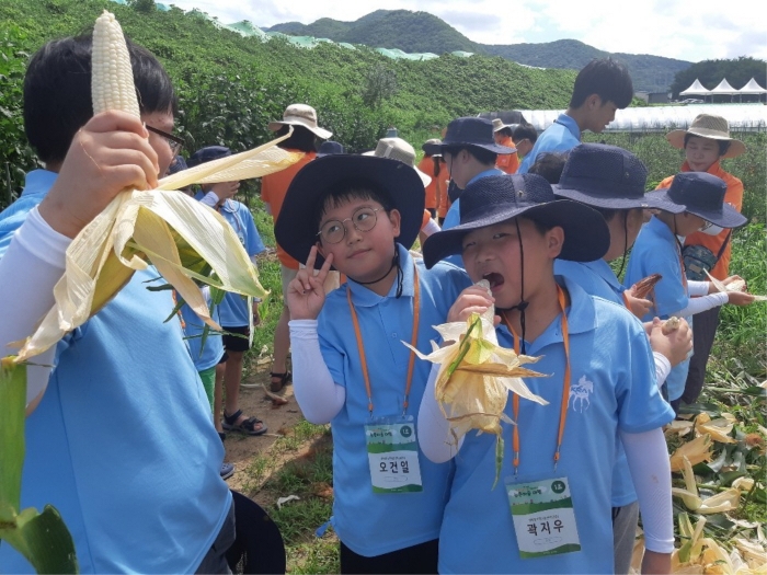 광주 동구 지역아동센터 어린이들이 옥수수 수확 체험을 하고 있다.