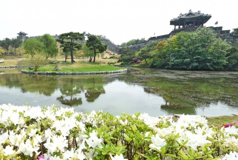 수원시, ‘광복 주간’ 수원화성·화성행궁 전국민 무료 개방