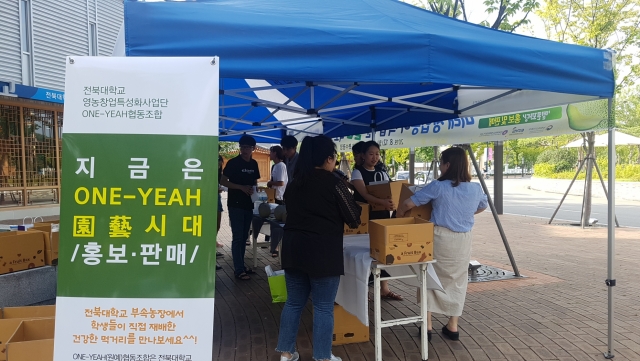 전북대, 학생주도 협동조합 생산 멜론 홍보·판매 행사 개최