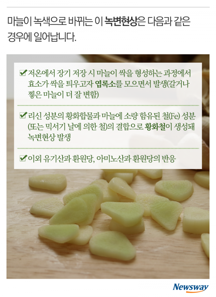 녹색으로 변한 우리집 마늘, 먹어도 괜찮나요? 기사의 사진