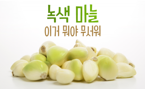 녹색으로 변한 우리집 마늘, 먹어도 괜찮나요?
