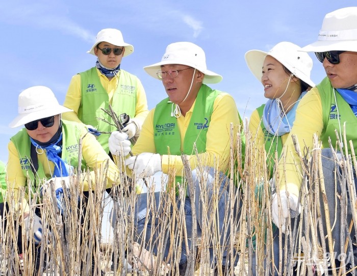정의선 수석부회장이 중국 네이멍구 지역 사막화 방지를 위한 현지 생태복원 봉사활동을 펼치는 모습. 사진=현대차 제공