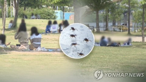 벌초·성묘 때 야생진드기 조심···올해 SFTS 환자 27명 숨져