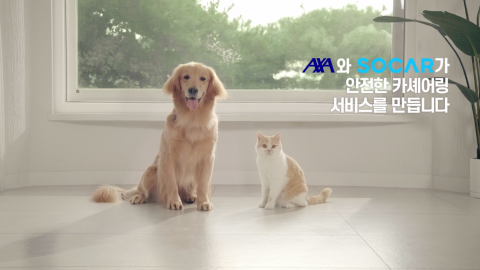 악사손보, 쏘카와 공유차 전용 보험 홍보
