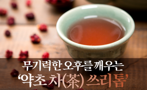 무기력한 오후를 깨우는 ‘약초 차(茶) 쓰리톱’