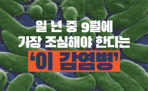 일 년 중 9월에 가장 조심해야 한다는 ‘이 감염병’