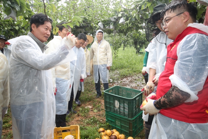 농협중앙회 김병원 회장이 나주지역 과수 농업인으로부터 피해 상황에 대해 설명을 듣고 있다.