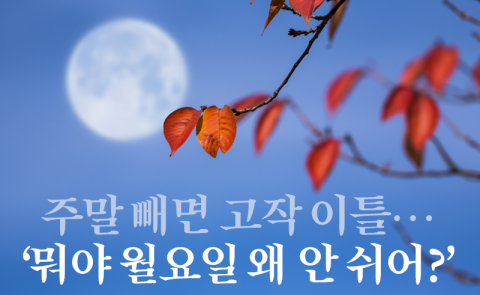 주말 빼면 고작 이틀···‘뭐야 월요일 왜 안 쉬어?’