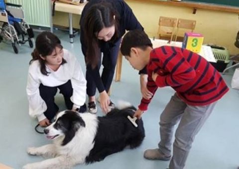 원광대 김옥진 교수 연구팀, 동물교감교육 연구 성과 확산 사업 수행
